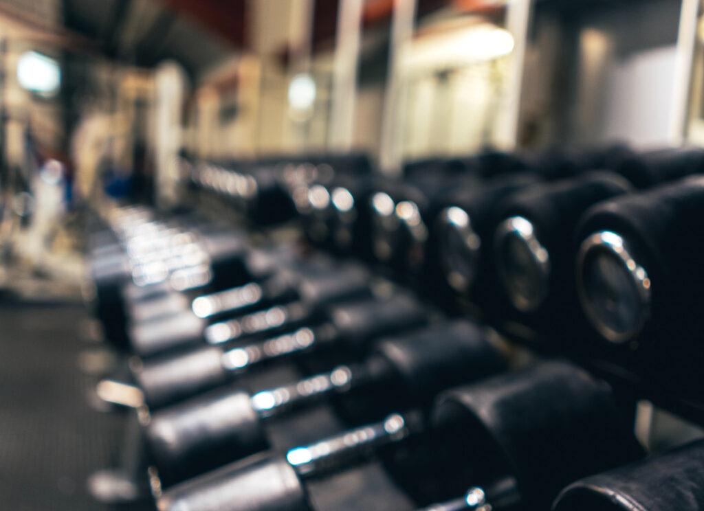 fitness application development services